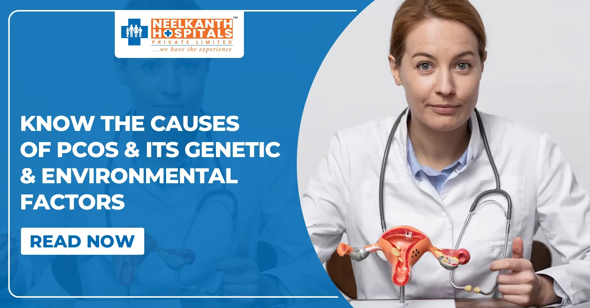 Know the Causes of PCOS And Its Genetic and Environmental Factors