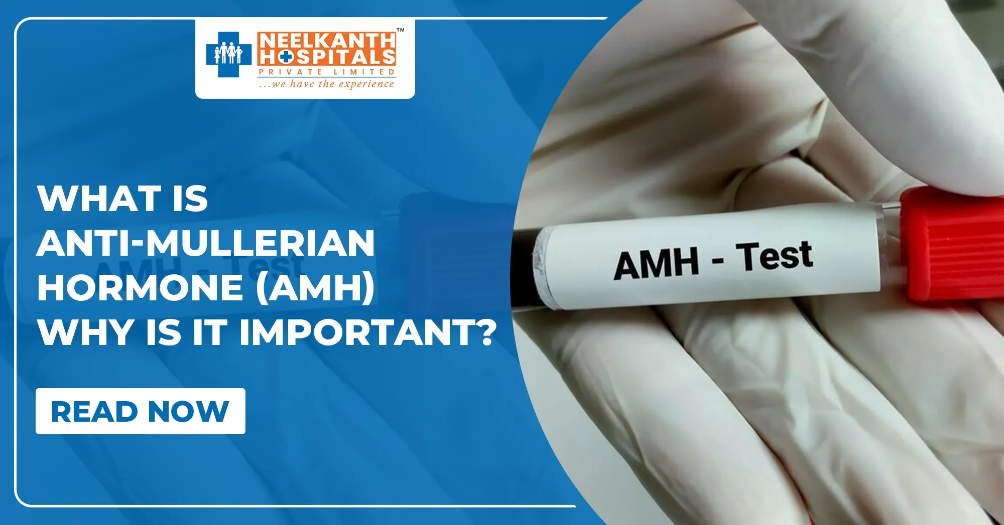 Understand Anti-Mullerian Hormone (AMH) Role and Its Importance