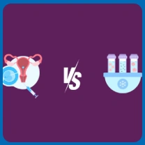 Fresh Embryo vs Frozen Embryo: Which Choice is Best for Your IVF Journey?